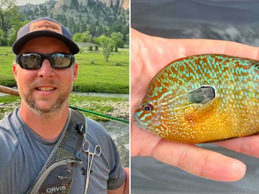 Nebraska fisherman reels in new fish species in state: 'Bright orange with turquoise'