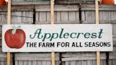 Fall fun on Seacoast farms: Your guide to apple picking, haunted fun, corn mazes, more