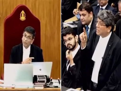 'Please call security': Sharp exchanges between CJI Chandchud and lawyer in SC during NEET hearing