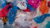 New Jersey plastic bag ban is a leader in reducing pollution