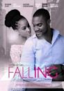 Falling (2008 film)