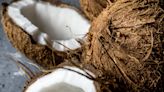Scientists develop promising, affordable biodiesel made from coconuts: 'The positive social impact would be undeniable'
