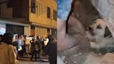 SJL: Vecinos piden prisión para mujer que enterró viva a perrita preñada
