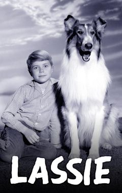 Lassie