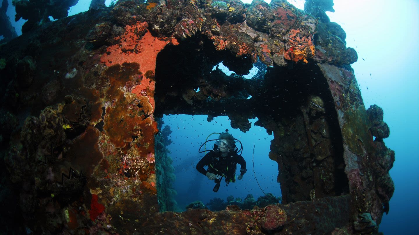 A Diving Crew Went on a Routine Expedition—and Uncovered a 'Numbing' Ancient Treasure