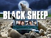 Black Sheep