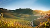 A Paso Robles Pioneer Adds Sonoma Stunners to Their Wine Roster