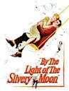By the Light of the Silvery Moon (film)