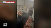 ‘I felt like an animal’: Passenger tasered and dragged off flight by police