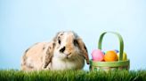 Your Kids Will Love Using an Easter Bunny Tracker This Year
