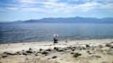 California’s Salton Sea is shrinking because of Colorado River water shortage, research finds