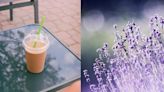 Te contamos cómo pedir el nuevo café con lavanda de esta conocida cafetería