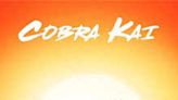 Cobra Kai Review: Strikes first and hard, with a hit of nostalgia