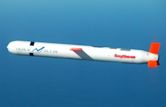 Tomahawk (missile family)