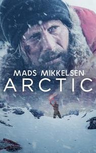 Arctic (film)