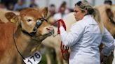 Balmoral Show 2024: What you need to know