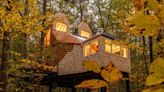 A Fox-Shaped Tree House Came to Her in a Dream. So, She and Her Husband Spent Years Building It