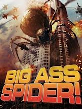 Big Ass Spider!