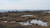 Amazing vistas: Tiny Truro hiking trail with a huge reward