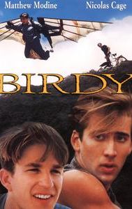 Birdy (film)