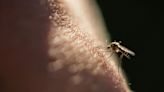 First mosquito-borne virus of year confirmed in Michigan