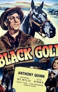 Black Gold (1947 film)