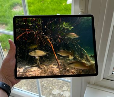 iPad Pro OLED: release date rumours, predicted price and specs