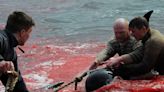 A British cruise ship operator apologized after passengers watched 78 dolphins get slaughtered, part of the centuries-old whaling tradition of the Faroe Islands