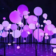 Top 10 Instagrammed Vivid Sydney Installations | Blog | Vivid 2019