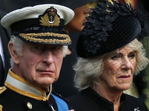Queen Camilla's very telling two-word response to Harry and Meghan engagement