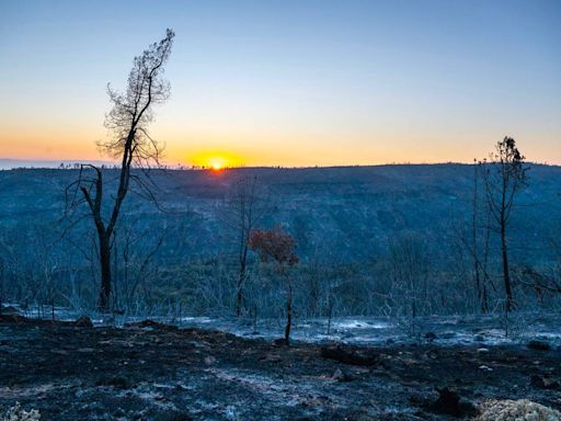 Chico planned a burn that could have curbed the Park Fire. Here’s why it didn’t get done