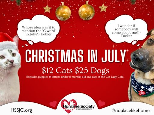 Humane Society of St. Joseph County offering adoption specials for ‘Christmas in July’