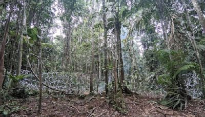 Panamá cierra más de 4 km de pasos usados por migrantes en la selva del Darién