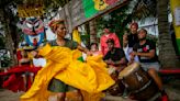 Majestuoso ritual bajo las estrellas