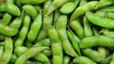 How to grow soybeans – discover the benefits of growing these high-protein legumes