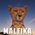 Maleika