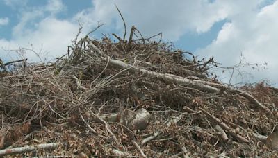 St. Tammany Parish set to burn 15,000 yards of debris from April storms