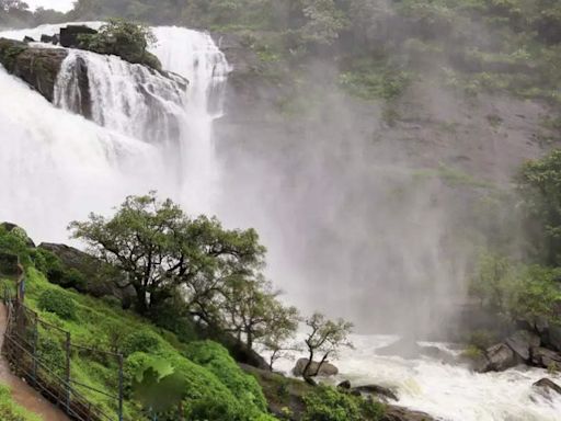 Best places in India to visit in August - Coorg, Karnataka - The Economic Times