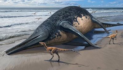 Hallaron restos de un enorme reptil marino en Reino Unido - Diario Hoy En la noticia