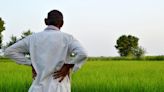 80% Of Marginal Farmers In India Affected By Adverse Climatic Events: Report | Climate Change