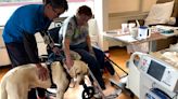 Mother-daughter team spreads smiles with trio of therapy dogs