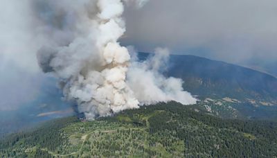 Wildfire official says B.C. 'on the precipice' after tactical evacuations in Interior