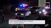NYPD: Man walking across Major Deegan Expressway fatally struck by car