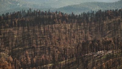 A post-fire ‘nightmare’ in New Mexico: Eight floods in four weeks