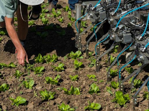Could AI robots with lasers make herbicides — and farm workers — obsolete?