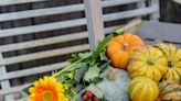 8 ways to keep your pumpkin looking good for longer so you can nail this autumnal decoration trend