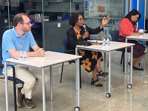 Lake County state lawmakers talk coal ash, casino and maternal care at town hall