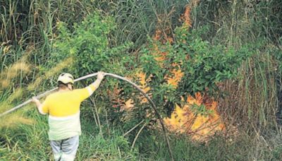 Campinas contabiliza 257 focos de incêndio desde maio