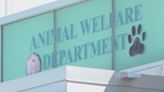 Albuquerque Animal Welfare shelters open on Juneteenth holiday