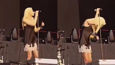 Video: así fue el ataque de un murciélago a Taylor Momsen mientras cantaba durante un show en España